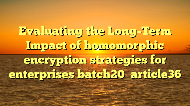 Evaluating the Long-Term Impact of homomorphic encryption strategies for enterprises batch20_article36